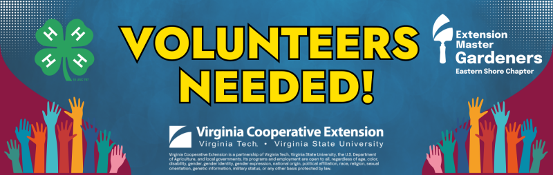 A vibrant blue banner with the bold white text "VOLUNTEERS NEEDED!" stands out against the backdrop. The left side features a green clover-shaped logo with four H's, symbolizing cooperation. Colorful raised hands on the left evoke community involvement. On the right, the Virginia Cooperative Extension logo, in partnership with Virginia Tech and Virginia State University, emphasizes collaboration. The Extension Master Gardeners Eastern Shore Chapter logo, depicting a garden tool and plant, completes the image. This banner invites volunteers to contribute to gardening and community initiatives. 