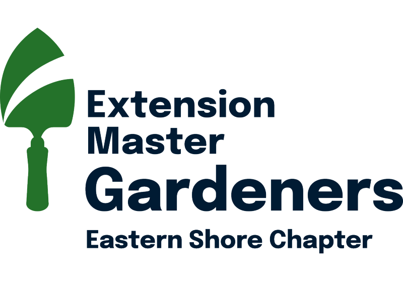 The image appears to be a logo for the **Extension Master Gardeners Eastern Shore Chapter**. It features a stylized green trowel with white stripes to the left of the text. The words "Extension Master Gardeners" are displayed prominently in large, bold navy blue letters, followed by "Eastern Shore Chapter" in smaller navy blue letters. The logo represents a gardening community and expertise in horticulture. 