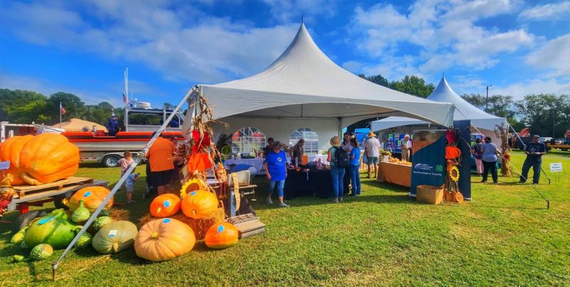 pumpkins and white fair tent