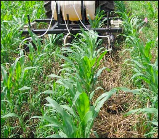 Injecting Urea Ammonium-Nitrate (UAN) into rye residue in a corn field.