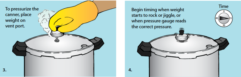 Illustration of step by step pressure canning. Step 3. To pressurize the canner, place weight on vent port. Step 4. Begin timing when weight starts to rock or jiggle, or when pressure gauge reads the correct pressure.