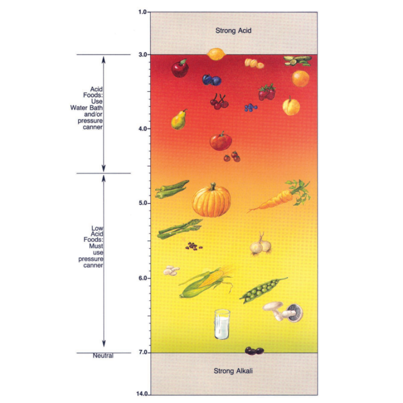 Diagram showing examples of High and Low Acid Foods