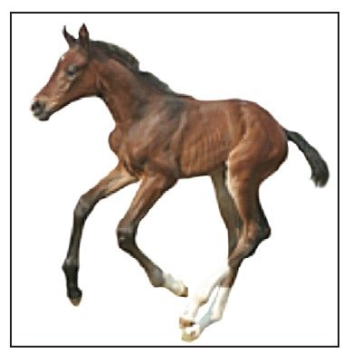 How many markings can you identify?