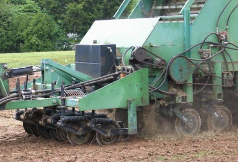 A machine pressing shredded bermudagrass and zoysiagrass stems into the soil as part of the sprigging process.