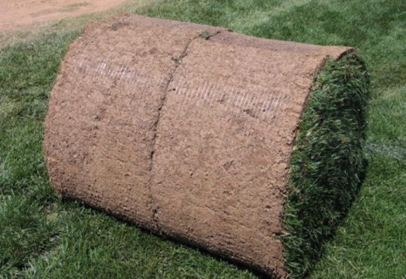 A large roll of sod with visible netting used to enhance its handling during harvest.