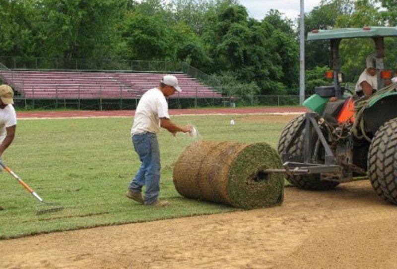 Workers preparing to install a large roll of sod by removing netting, with a tractor positioned nearby.