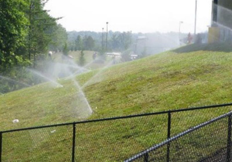 Supplemental irrigation is crucial for successful establishment of a newly installed sod.