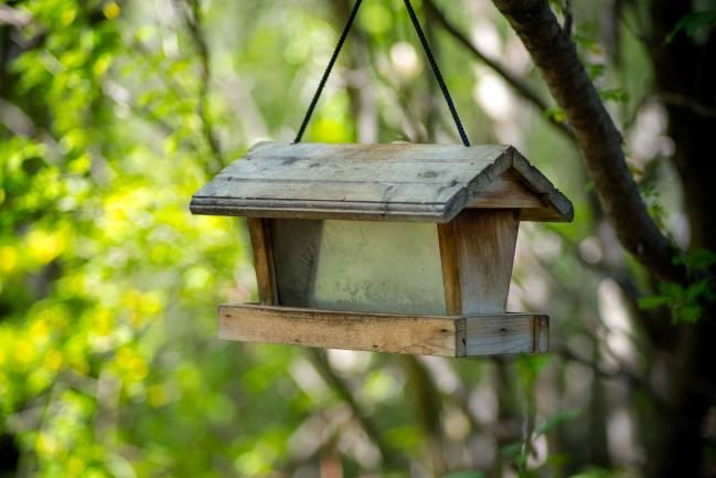 A wooden and glass feeder designed to hold a large quanity of seed where the seed falls by gravity on to a dispensing tray, giving access to birds perched on the tray's edge.