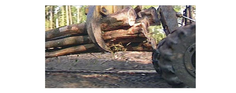 a photo of a skidder holding logs