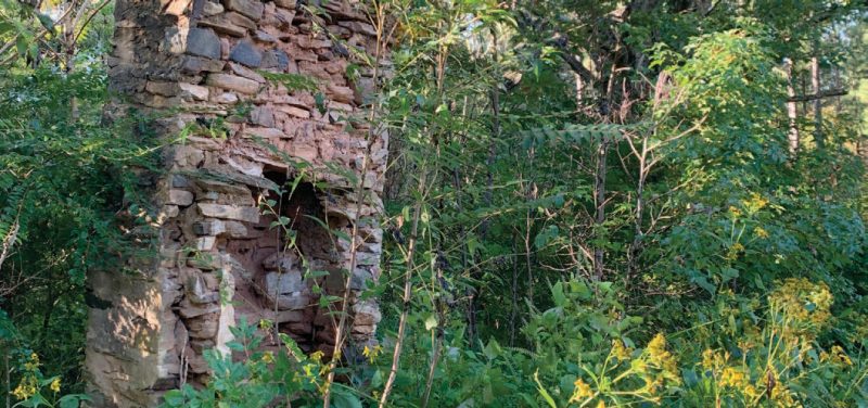 A tall old rock chimney standing alone in the woods. Surrounded by large leafed-out hardwood trees. Shorter green vegetation, some with yellow flowers, appears in the foreground.