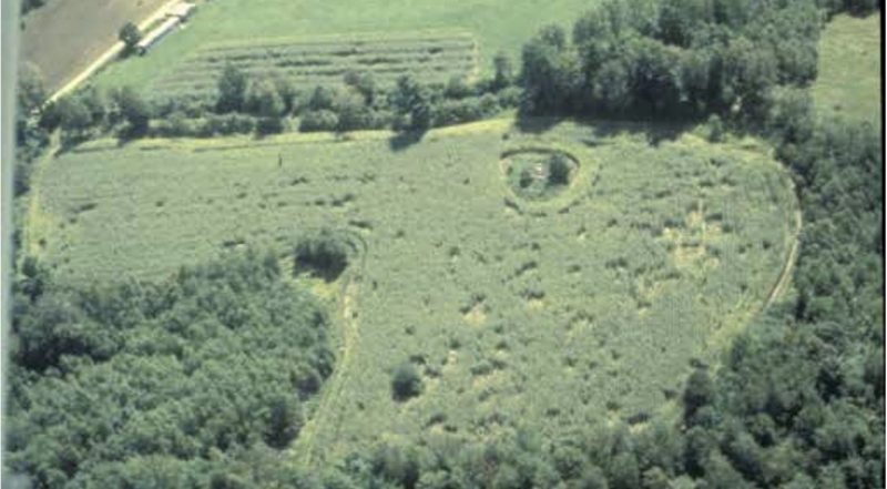 The photo shows an aerial view of a cornfield surrounded by forest, with trampled areas visible in the cornfield.