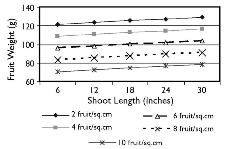 line chart