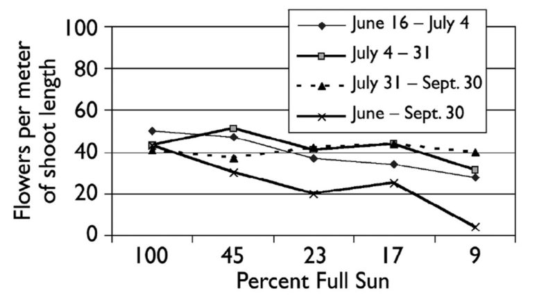 line chart