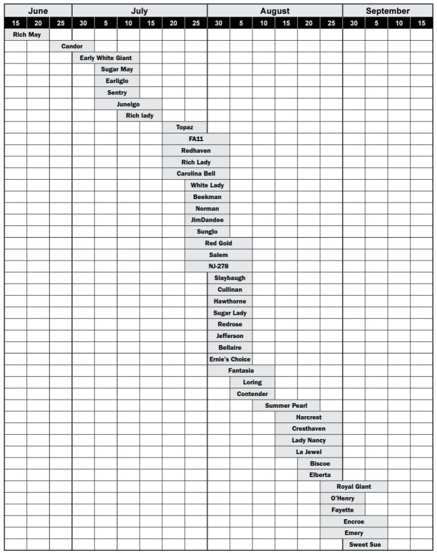 Harvest dates for peach and nectarine varieties evaluated at Blacksburg, Virginia.