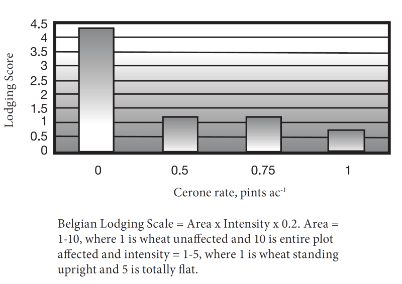 Effect of Cerone® application on ‘Doyce’ lodging