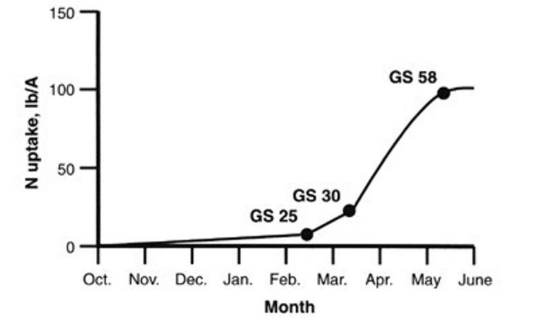 Nitrogen uptake pattern for winter wheat grown in the Coastal Plain region of Virginia