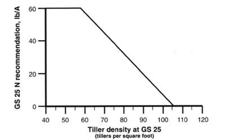 N rate recommendations for the first application in a split based on tiller density measurements