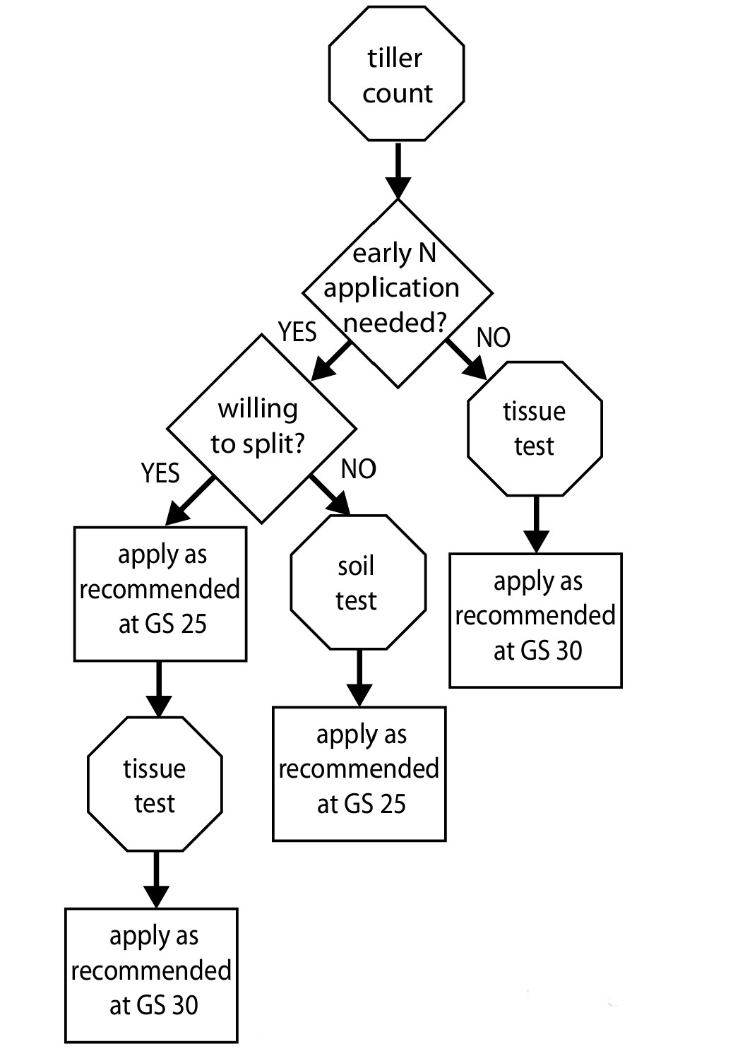 Flow chart showing how to obtain field-specific N rate recommendations for late winter/early spring N applications. A tiller count should be the first step in all fields, regardless of whether spring N applications will be split or not; then follow the arrows.