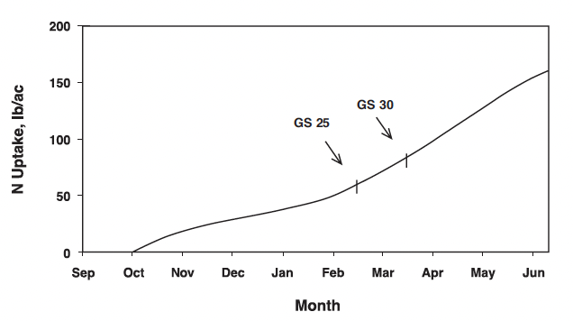 Graph with an upward slope