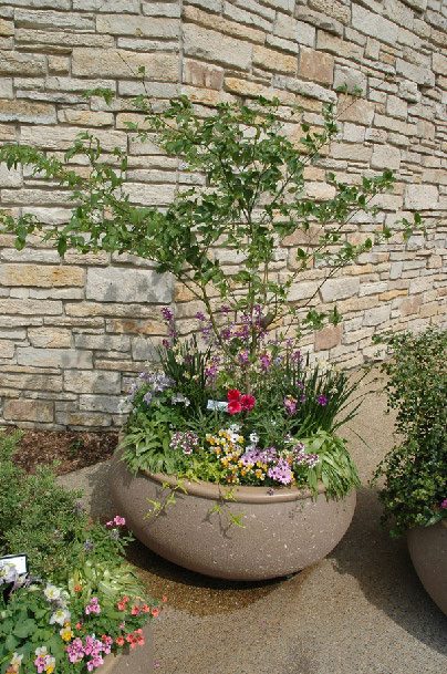 Stone Potted Plant