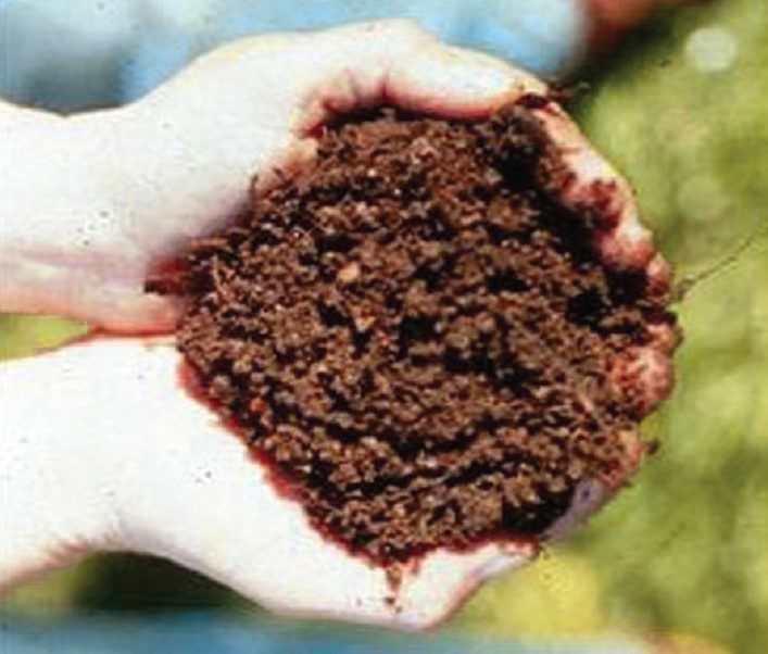 Typical compost-amended soil.