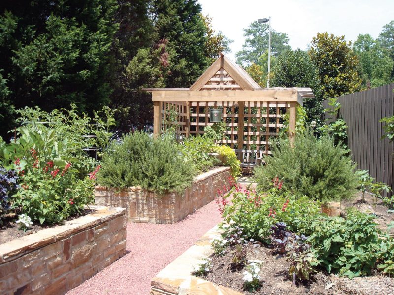 Herb garden with raised beds.