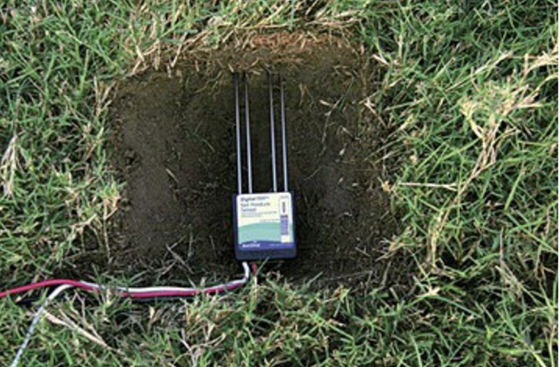 Photo of a soil moisture sensor on the ground.