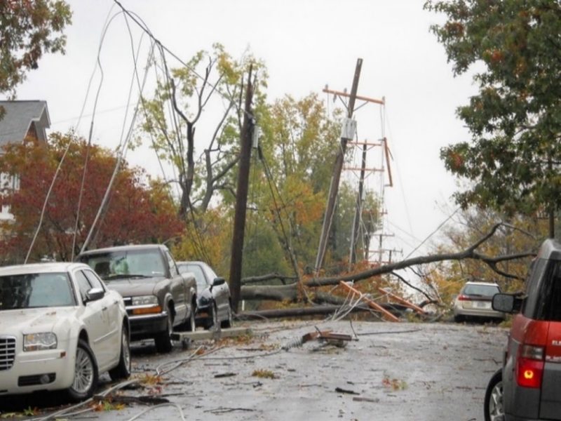 A tree has fallen across a street, bring down utility lines and breaking a utility pole. Parked cars line the street.