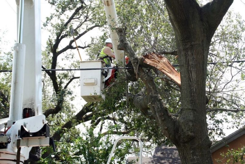 A man wearing a hard hat is lifted by a bucket truck to remove broken branches from a damaged tree near utility lines.