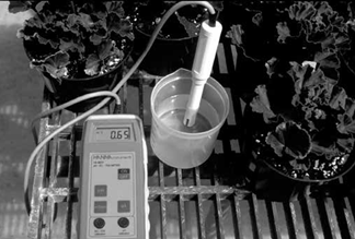 A black and white photograph of a meter placed in a container of solutuion and surrounded by potted plants.