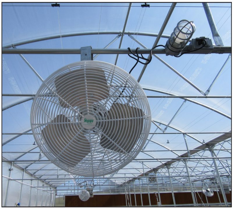 Picture of a huge fan and a lamp.