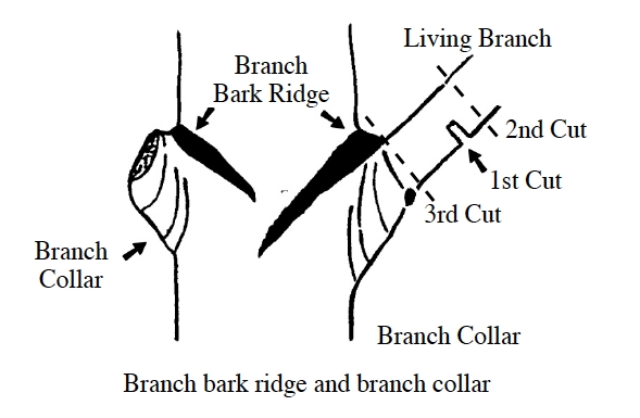 figure5.jpg