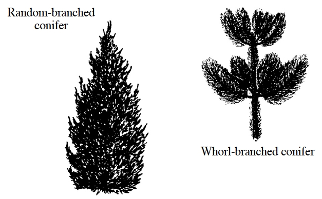 figure2.jpg
