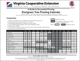 Cover for publication: A Guide to Successful Pruning: Evergreen Tree Pruning Calendar