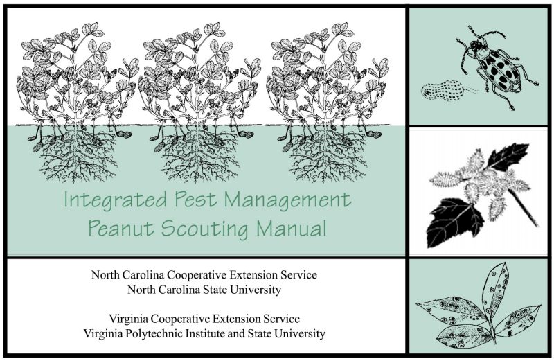 Cover, Integrated Pest Management Peanut Scouting Manual