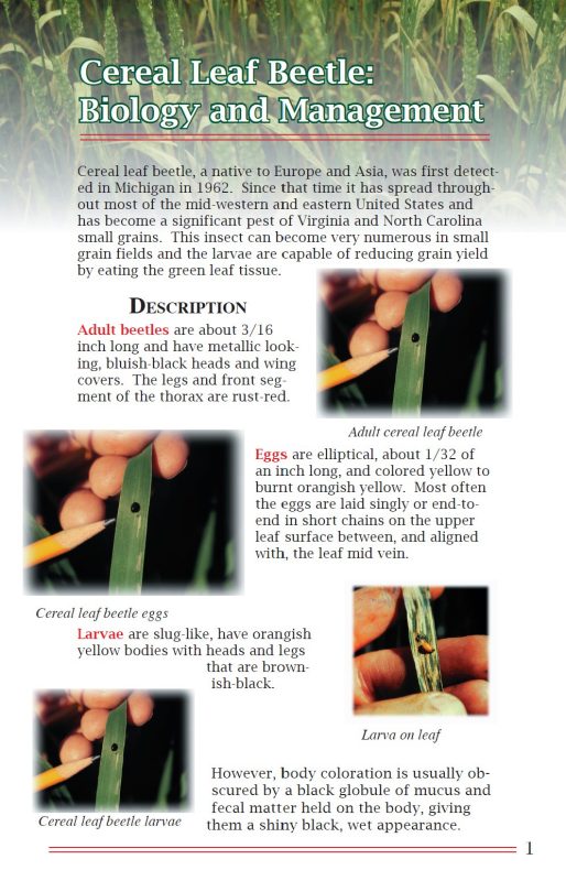 Cover, Cereal Leaf Beetle, Biology and Management