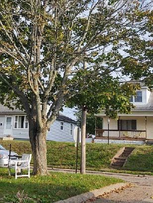 a maple planted on a residential street corner and two houses in the background image