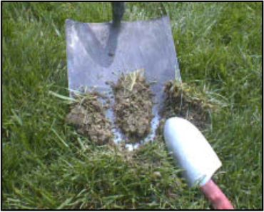 a shovel has 3 ribbons from the slice used trowel.