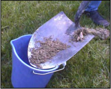 Clean soil over shovel and someone is putting it in a pucket.