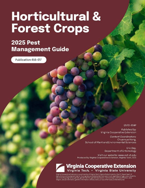 Cover page of the publication.