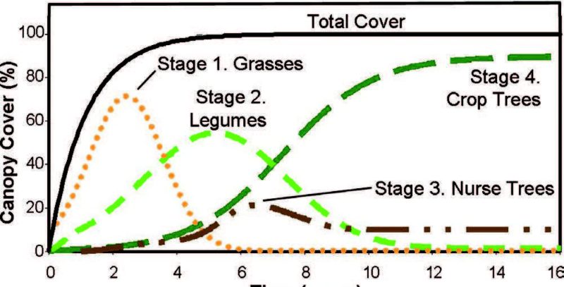 Figure 3. Reforestation silviculture seeks to stimulate natural processes known as forest succession. All vegetation types are established during reclamation. As time passes, grasses and legume groundcovers yield to nurse and wildlife trees, which are themselves overtopped by commercially valuable crop trees as the forest grows and matures.