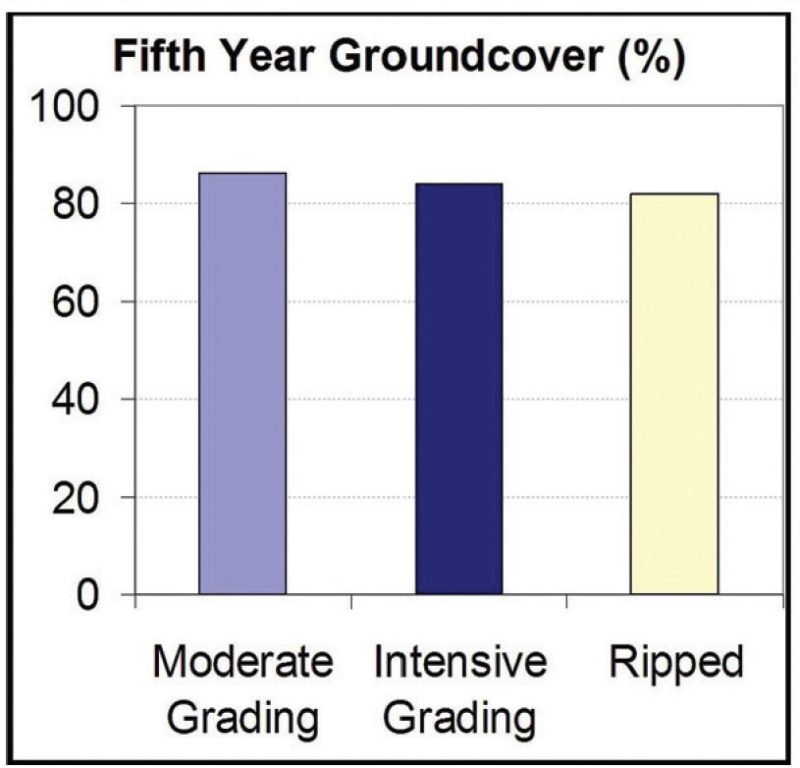 Groundcover was adequate on both the graded and the ripped portions of the site