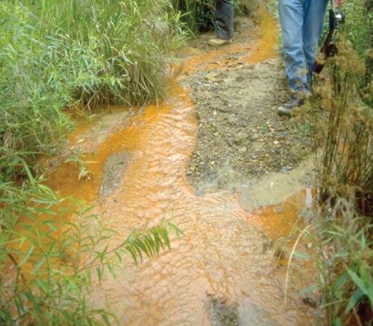 A person standing on dirt next to orange colored stream in between green plants. 