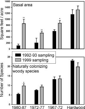 Figure 2. Average basal area by tree species (upper) and numbers of naturally colonizing tree and shrub species (lower) on reclaimed lands by reclamation time period and in unmined hardwood forests. Error bars represent standard error. Asterisks represent statistical significance for comparisons between years: *(p < .05); **(p < .01).