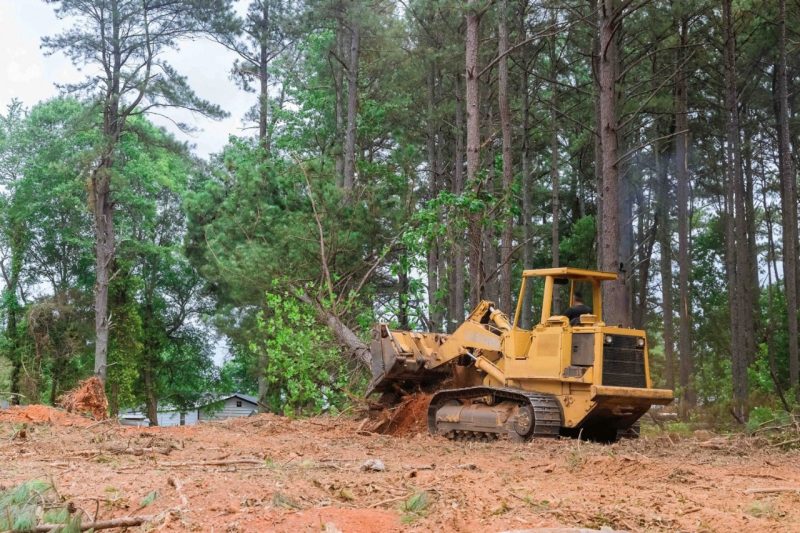 A yellow skid steer tractor removing trees.