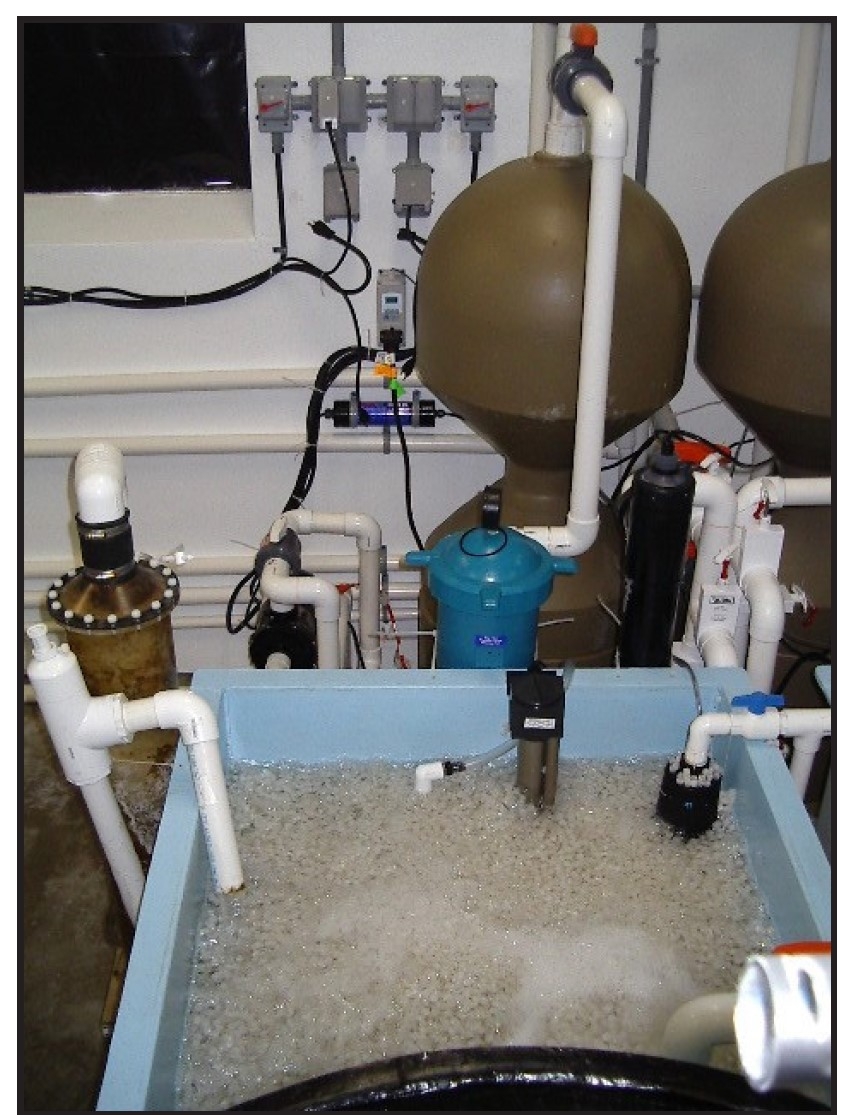 RAS water treatment.