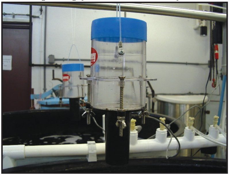 Automatic dry feed feeder.