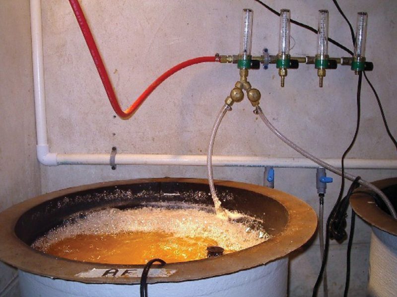Artemia hatching cone: note pure oxygen injection regulators on wall and wire from submersible heater on front edge of tank.
