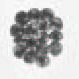 microscope images of Tomont