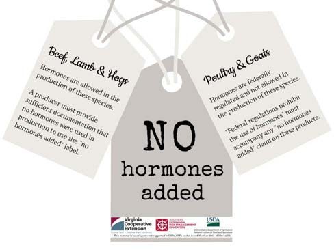 Figure 5. Infographic featuring two hanging tags labeled "Beef, Lamb & Hogs" and "Poultry & Goats" with a central bold statement "NO hormones added". For "Beef, Lamb & Hogs", it is stated that hormones are allowed in production and producers must provide documentation to use the "no hormones added" label. For "Poultry & Goats", it clarifies that hormones are not allowed in production as per federal regulations and emphasizes that no producer can make "no hormones added" claims on these products.